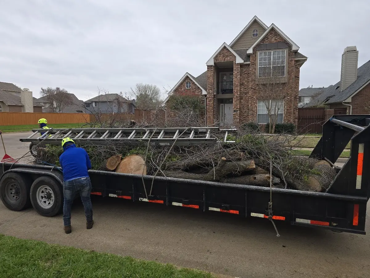 Expert Tree Fertilization with proper safety equipment in East Andover